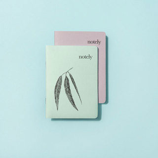 Set of 2 A6 Pocket Notebook- Lined Spearmint